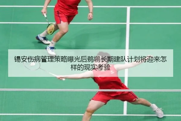 锡安伤病管理策略曝光后鹈鹕长期建队计划将迎来怎样的现实考验