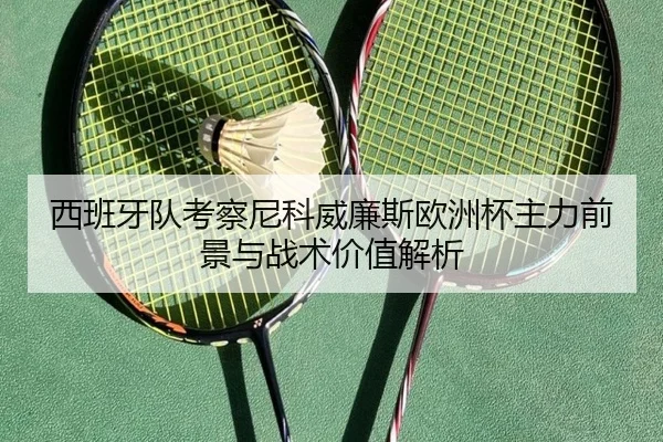 西班牙队考察尼科威廉斯欧洲杯主力前景与战术价值解析