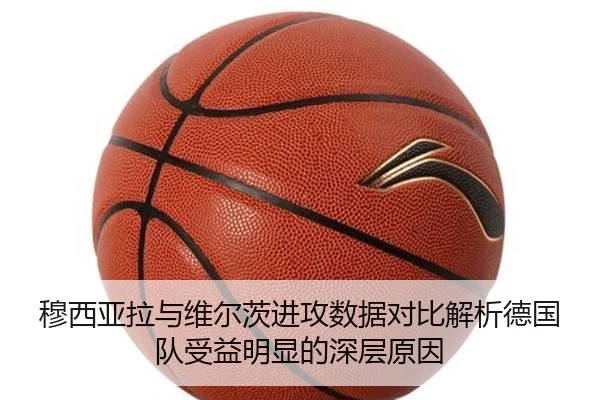 img_1785242892410_1583_1_706.jpg